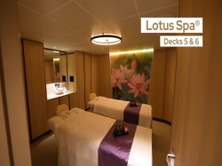 Sun Princess Spa Lower Level picture