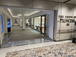 Sun Princess Shops of Princess Deck 8 picture