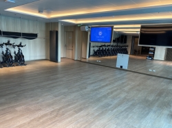 Sun Princess Wellness Studio picture