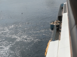 Carnival Firenze Lanai picture