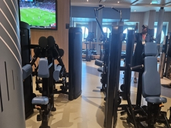 Icon of the Seas Fitness Center picture