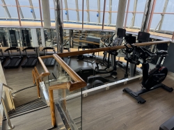 Carnival Pride Fitness Center picture