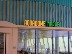 Icon of the Seas AquaDome Market picture