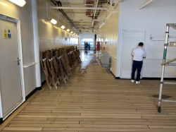 Westerdam Promenade Deck picture