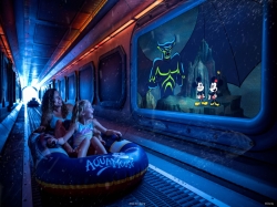 Disney Destiny AquaMouse picture