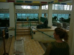 Rhapsody of the Seas Solarium picture