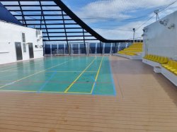 MSC Divina MSC Sports Arena picture