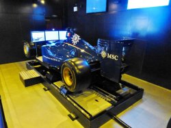 F1 Simulator picture