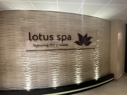 Discovery Princess Lotus Spa picture