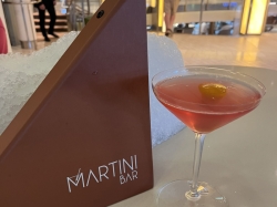 Celebrity Equinox Martini Bar picture