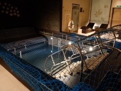 Majestic Princess Lotus Spa picture