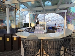 Symphony of the Seas Solarium Bar picture