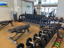 Norwegian Jewel Fitness Center picture