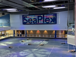 Odyssey of the Seas SeaPlex picture