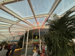 Odyssey of the Seas Solarium picture