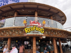 Red Frog Tiki Bar picture