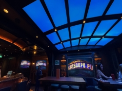 Disney Treasure Periscope Pub picture