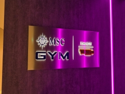 MSC Gym picture