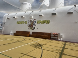 Goofys Sports Court picture