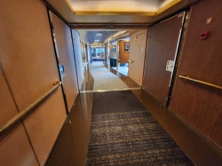 Noordam Art Gallery picture