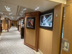 Arts Gallery picture