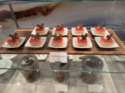 Disney Wish Concierge Lounge picture