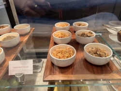 Disney Wish Concierge Lounge picture