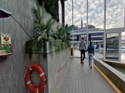 Botanic Garden Pool picture Botanic Garden Pool picture