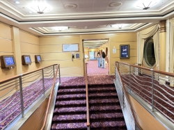 Disney Magic Shutters picture