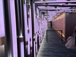 Aqua Theater & Club picture