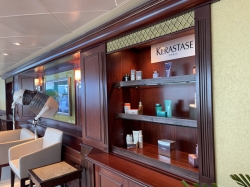 Styling Salon picture