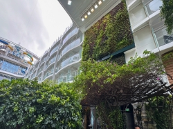 Harmony of the Seas Central Park picture