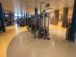Harmony of the Seas Vitality at Sea Spa and Fitness Center picture