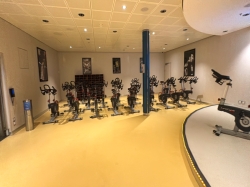 Harmony of the Seas Vitality at Sea Spa and Fitness Center picture