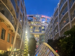 Harmony of the Seas Central Park picture