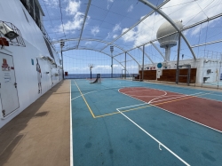 Multi-Sport Court picture Multi-Sport Court picture