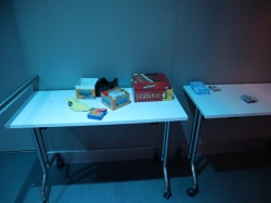 Disney Treasure Hero Zone picture