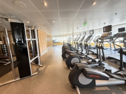Carnival Breeze Fitness Center picture