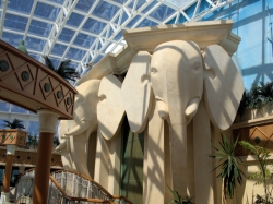 Radiance of the Seas Solarium picture