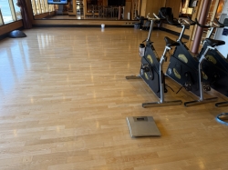 Carnival Luminosa Cloud 9 Fitness Center picture