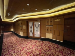 Emerald Princess Conference Center picture