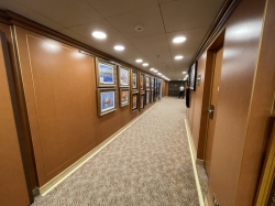 Emerald Princess Art Gallery picture