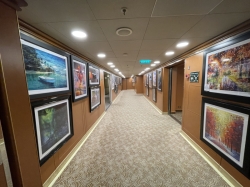 Emerald Princess Art Gallery picture