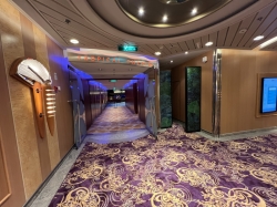 Tropical Theatre picture