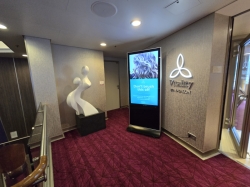 Quantum of the Seas Vitality at Sea Spa & Fitness Center picture