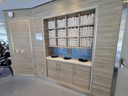 Quantum of the Seas Vitality at Sea Spa & Fitness Center picture