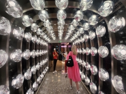 Pink Agave picture Pink Agave picture