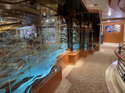 Princess Plaza picture