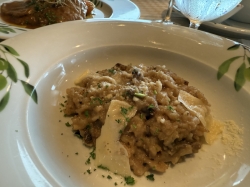 Coral Princess Sabatinis picture