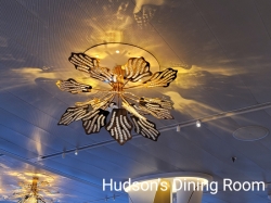 Norwegian Aqua Hudsons picture